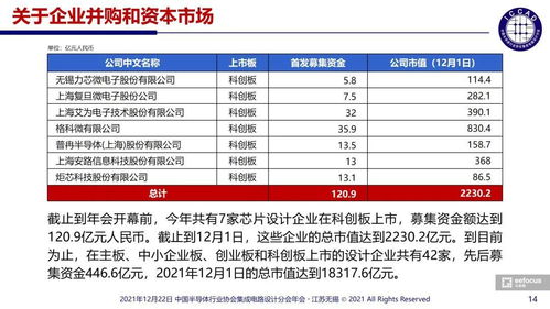 ICCAD 2021魏少军教授演讲实录 集成电路芯片设计与服务的新篇章